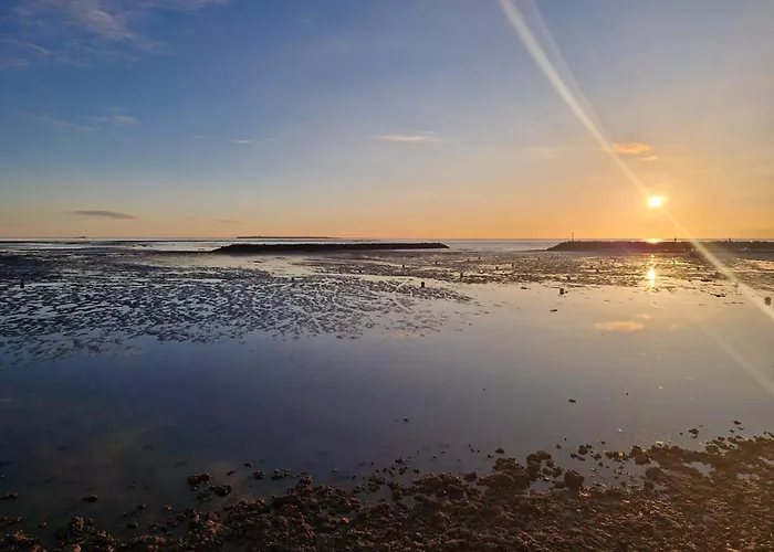 アパート Chatelaillon-centre : 50m - Fr-1-706-38 *