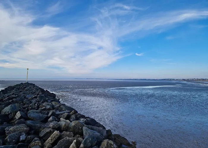 Chatelaillon-centre : 50m - Fr-1-706-38 アパート シャトライヨン・プラージュ